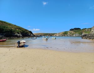 Traverser Belle-Île-en-Mer à vélo - Patrice - 3