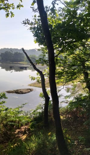 Marche au bord de l'eau prés de Pont Aven - Névez - 8