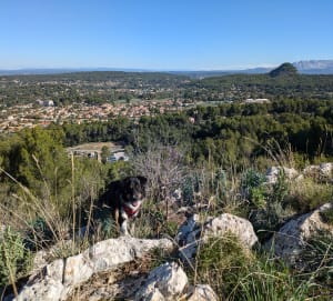 Sur les hauteurs de Simiane - Simiane-Collongue - 13