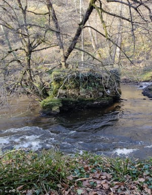 Les Gorges de la Vienne à Bussy Varache - Eymoutiers - 8