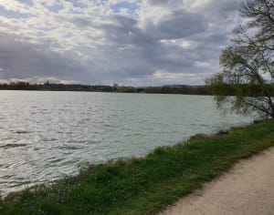 Ronde van het meer van Beaumont-de-Lomagne - Beaumont-de-Lomagne - 2