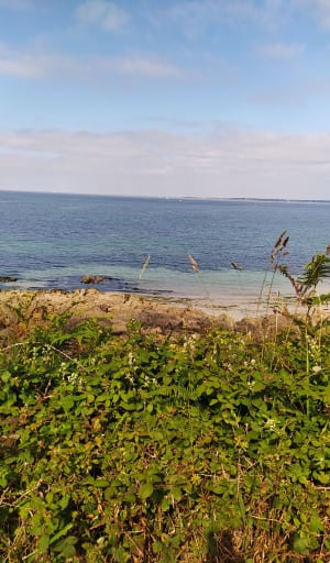 Wandel naar Pointe de la Jument - Trégunc - 9