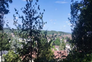 Balade dans la forêt d'Etrechy - Etréchy - 14