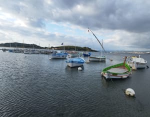 Du Rayolet a l'Ile du Grand Gaou - Six-Fours-les-Plages - 12