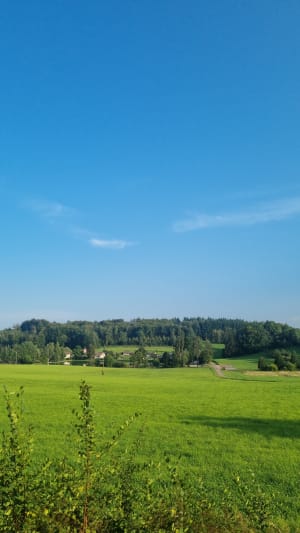 Boucle des Brûlées, par Bois du Maire - Girancourt - 4