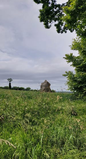 Belle randonnée en Vallée de Néal - Plouasne - 9