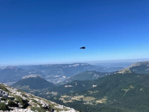 Chamechaude-ruggen vanaf de Porte-pas - Col de Porte, Sarcenas - 14