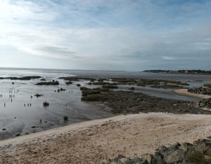 Côte sableuse de Saint-Froult - Port-des-Barques - 6