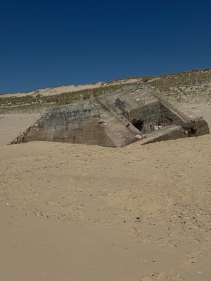 Lacanau et Site du Lion - Lacanau - 7