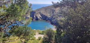 Wandel van Banyuls-sur-Mer naar Cerbère en zijn magische landschap - Banyuls-sur-Mer - 13