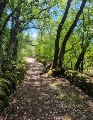 Circuit des cabanes à Limogne-en-Quercy - Limogne-en-Quercy - 8