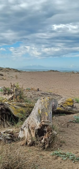 Tour des Verdisses et parcours entre les eaux - Agde - 15