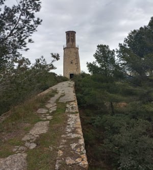 Le tour de l'Abbaye de Saint Romain à Comps - Comps - 8