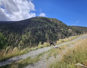 Het pittoreske Llo en zijn sublieme Sègre-kloven - Llo - 41