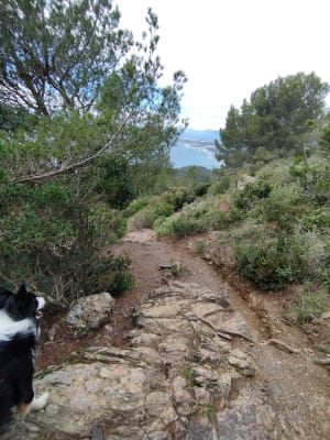 Notre-Dame-du-Mai en een verkwikkende wandeling langs de kust - Six-Fours-les-Plages - 26