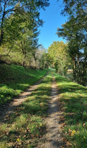 Chemin de l'eau et Bois de Caudeval - Guitalens-l'Albarède - 4