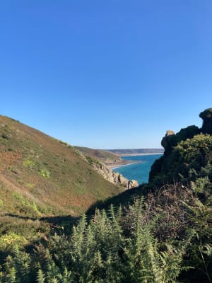 Nez de Jobourg, falaises et bocages normands - Jobourg - 57
