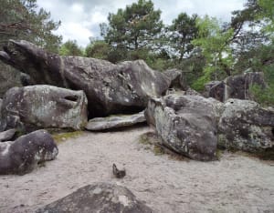 Côté sauvage des sables du cul de chien - Noisy-sur-École - 2