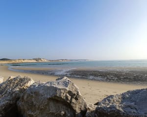 Rando le long de la baie au départ de Berck - Berck - 30