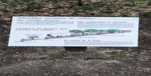 Randonnée dans la pinède autour de Lagnes - Lagnes - 4