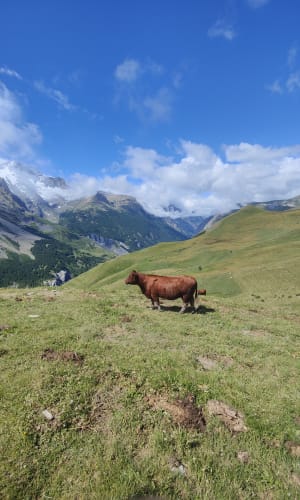 Onmisbare wandeling naar Lac du Pontet en Col de l'Aiguillon - Villar-d'Arêne - 17