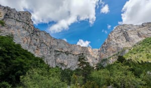 Dénicher les vautours fauves et le Cirque d'Archiane - Treschenu-Creyers - 6