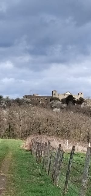 De vallons en châteaux à Saint-Jean-de-Touslas - Beauvallon - 10