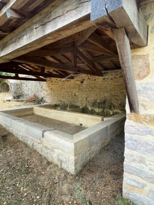Puycelsi en zijn legendarische Grésigne-bos - Puycelsi - 2
