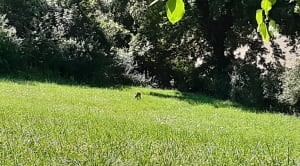 Balade en vallée de Chauvry - Villiers-Adam - 16