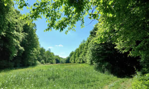 Balade autour de Baslieux par Fond de la Roche - Baslieux - 8