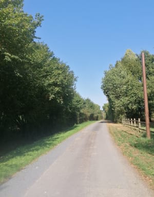 Balade le long de la Mayenne à Origné - Origne - 3