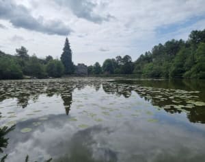 Wandeling in Saint-Just en zijn ongelooflijke megalithische site - Saint-Just - 13
