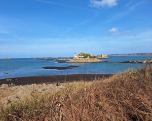Tronçon GR34 de Carantec, par la Pointe de Penn al Lann - Christophe - 38