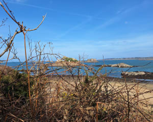 Tronçon GR34 de Carantec, par la Pointe de Penn al Lann - Christophe - 39