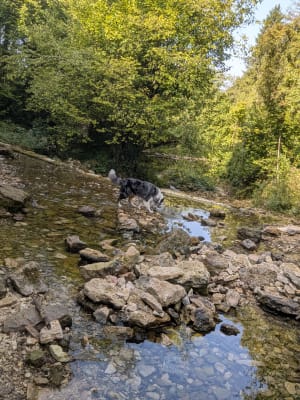 Balade aux sources de la Douix - Mélanie - 3
