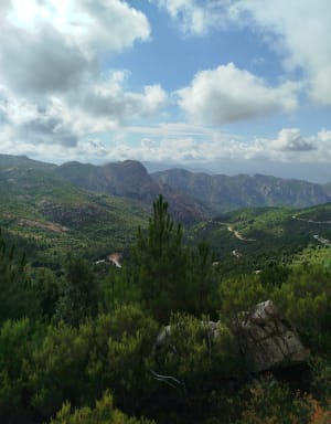 Ascension du Monte San Petru et panoramas corses - Petreto-Bicchisano - 25