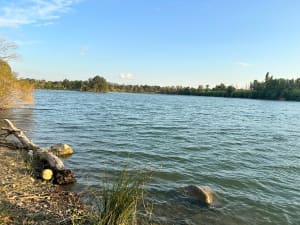 Balade Etang de Villelongue dels Monts + Le tech - Villelongue dels Monts - 8