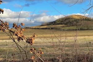 Le Cendre et historique bain de culture en longeant l'Auzon - Le Cendre - 7