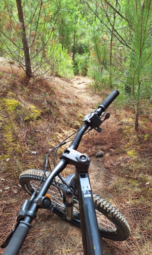 VTT dans la forêt de Saint-Jean-de-Monts entre Davière et la Motte - Saint-Jean-de-Monts - 5