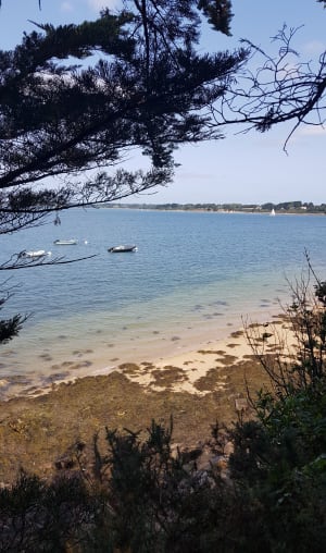 Île aux moines et celtitudes méridionales - Île-aux-Moines - 12