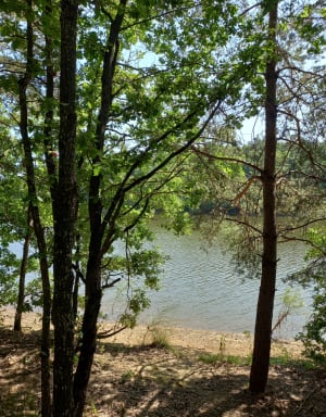 Balade au Lac des Meinettes - Saint-Jeure-d'Ay - 8