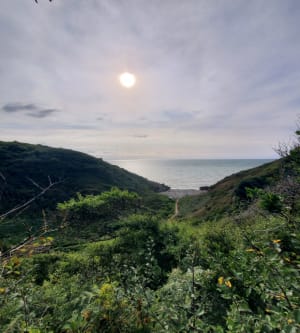 Promenade dans la vallée du Lude - Carolles - 64