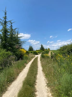 Les derrières de Montfleury - Mirabel - 6