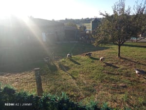 Boulevard nature au Mans - Le Mans - 4