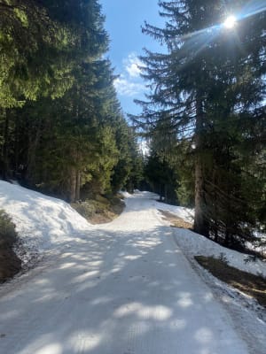 Witte wandeling en panorama's op de Zore-kammen - Avoriaz - 3