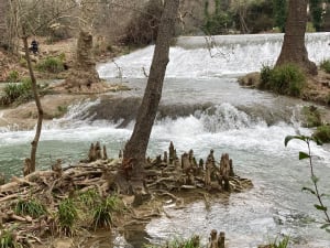 Parc Méric à Montpellier aller-retour - Montpellier - 20