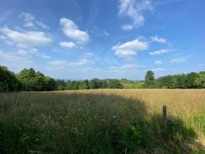 Puy de Pauliac en spirituele parenthese - Aubazine - 7