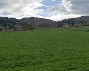 Balade autour du château de Goutelas - Marcoux - 11