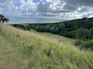 Sentier nature d'Omaha Beach - Saint-Laurent-sur-Mer - 16