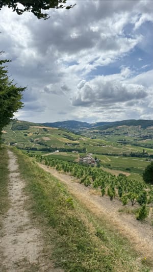 Autour du Mont Brouilly - Odenas - 2
